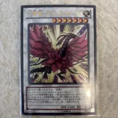 Item thumbnail for item b8744bdf-d1cc-49e0-8ac3-f64aded89df7