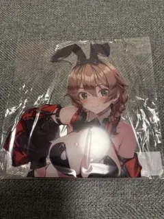 新品 バニーガーデン 特大ダイカット アクリルボード 花奈 レースクイーン