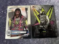 Item thumbnail for item ec504eaf-f94b-4a30-ab85-b57e629a795a