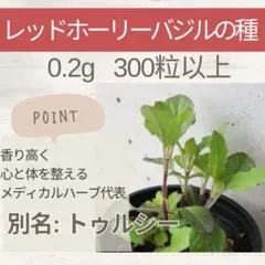 せいれむ様 リクエスト 2点 まとめ商品