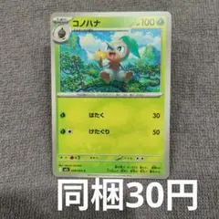 【在庫7】コノハナまとめ買いのサムネイル