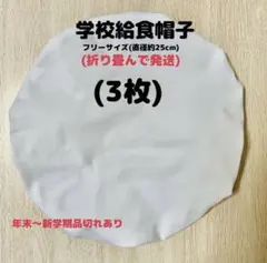 Item thumbnail for item 5047eeeb-49c5-4aa4-aa22-3d5cbb35f05d