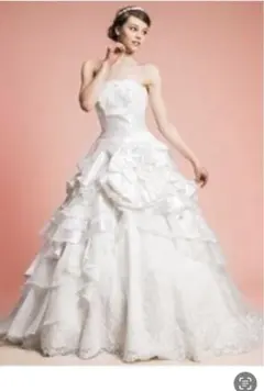 【大きいサイズウェディングセット】ワタベウェディングドレス　ベール　グローブ