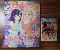 Q*様 アニメディア 2026年3月号 付録 超かぐや姫！ ライブチケット風