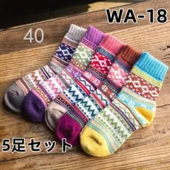 WA18 厚手 登山 5足組 ソックス足袋足袋ソックス量産型美品シルク(1WZ1