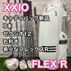 ゼクシオ XXIO11 オール11代目 レディース A ゴルフクラブセット 9本