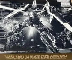 2026年最新】BANDAI 機体名：ZGMF-1000 ザクウォーリア ガンプラ MG