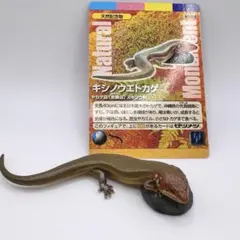 Item thumbnail for item 7114c40d-1dfc-4043-849a-b6c6970fc96f