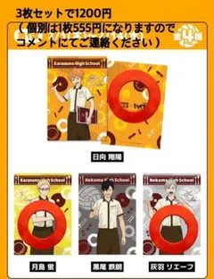 ハイキュー　ココス　クリアファイル　日向翔陽　灰島リエーフ　月島蛍