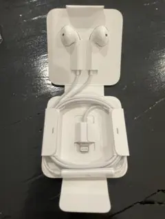 Apple EarPods with Lightning Connector