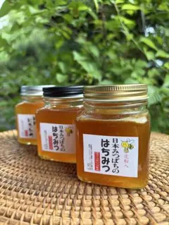 奈良の里】国産純粋はちみつ 非加熱 1kg × 2個 無農薬抗生物質不使用