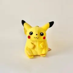 M*˚様 【動作確認済み】初期TOMY 赤タグ おしゃべりピカチュウ
