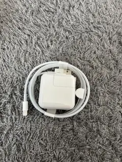 Apple 純正 iPad ACアダプタ 充電器10W USB アダプター