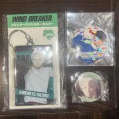 WIND BREAKER 梅宮一 まとめ売り