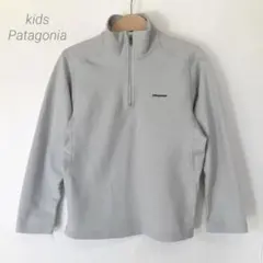 Patagonia パタゴニア ハーフジップ 長袖Tシャツ ベースレイヤー