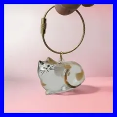 캣 헤어 볼 홀더 캘리코 캣 우치노코 키 홀더 투명 헤어 보관함 용품 2E