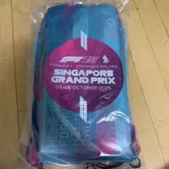 F1 シンガポールグランプリ 2025 シートクッション