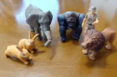 アニア アニマル 動物フィギュアセット ライオン ゴリラ ゾウ ウサギ　ヒトのサムネイル