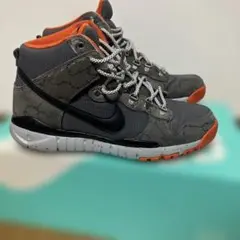 Nike Dunk High グレー/オレンジ Pokerとのダブルネーム