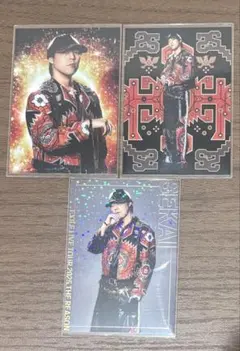 THE REASON EXILE世界フォトカード　シクレ