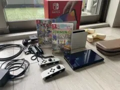 Nintendo Switch 有機Eモデル ソフト2つセット