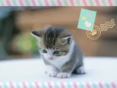 ナルミ様 リクエスト 4点 まとめ商品