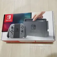 Nintendo Switch グレー 本体箱付属品フルセット 別売りケース付き