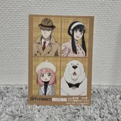 SPY×FAMILY　スパイファミリー　特別企画展　第3弾入場特典イラストカード