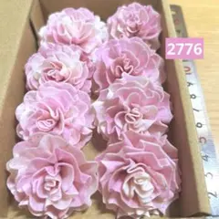 솔라 플라워 2776