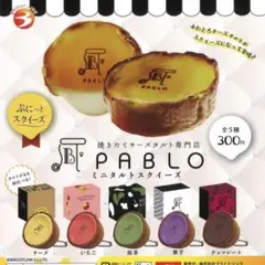 2025年最新】チーズタルト専門店PABLOの人気アイテム - メルカリ