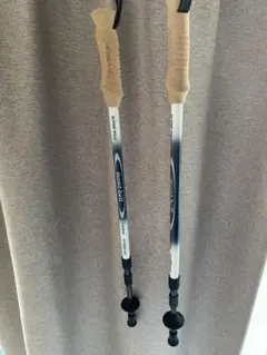 Item thumbnail for item 4938a21f-9953-4d56-96f9-7e50d83a3d98