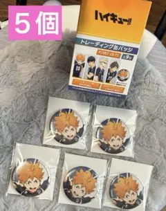 ハイキュー‼︎日向翔陽POINT GET缶バッジ　５個セット‼️