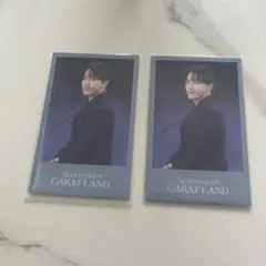 ディノ セット チェキ