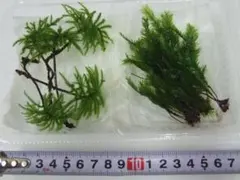 taru.taru.sachihime様 リクエスト 3点 まとめ商品