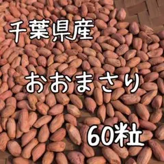 ✨千葉県産✨落花生✨おおまさりネオ種✨500粒✨ ②✨千葉県産✨落花生✨おおまさりネオ種✨50粒✨ - メルカリ