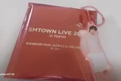 SMTOWN LIVE 2025 ミニアクリルキーホルダー SAKUYA