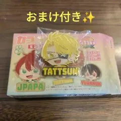 カラフルピーチ　たっつん　ピンズコレクション　からぴち