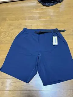 Item thumbnail for item 5bab41d6-5774-4986-a91f-d79382042d6a