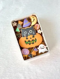 ⭐︎らっこᒼᑋªⁿ¨̮♡様専用　12/16発送