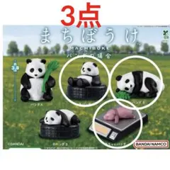 まちぼうけ　パンダ　赤ちゃんパンダ　ガチャ