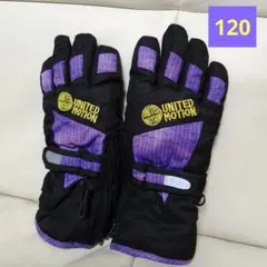 スキーグローブ120