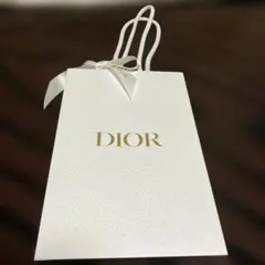 ディオール　2026リボン付きショップ袋