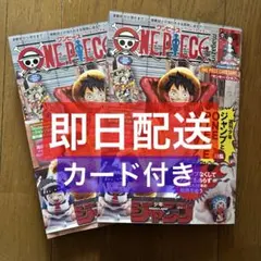 【即日配送】ワンピースマガジン 20号 ルフィ プロモ付 2冊セット ワンピース