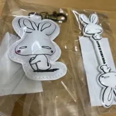 Item thumbnail for item aa3c7a17-7aac-4fa9-b070-8ae804532f07