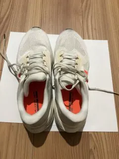 Nike Pegasus 41 PQ 26.5cm