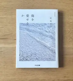 傷を愛せるか 増補新版