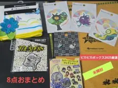 24時間以内にご発送★ピカピカボックス2026厳選８点セット