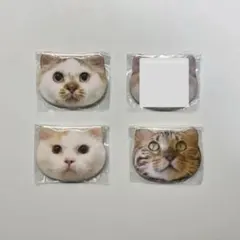 Item thumbnail for item 53e28534-9b0f-4bac-814e-56c5bf3dc165