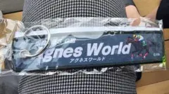 函館競馬場　フライトタグ　アグネスワールドのサムネイル