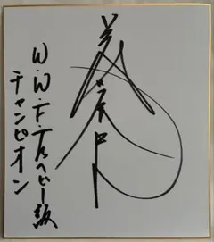 2026年最新】藤波辰爾サインの人気アイテム - メルカリ